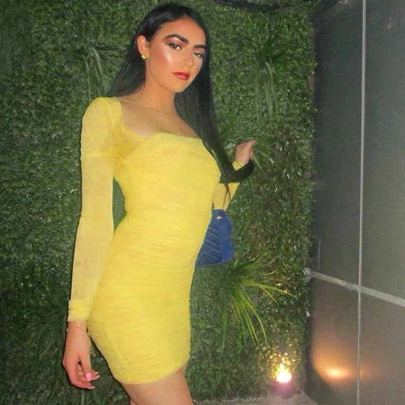Vestido Plisado a la Cadera con Costuras de Malla 2020